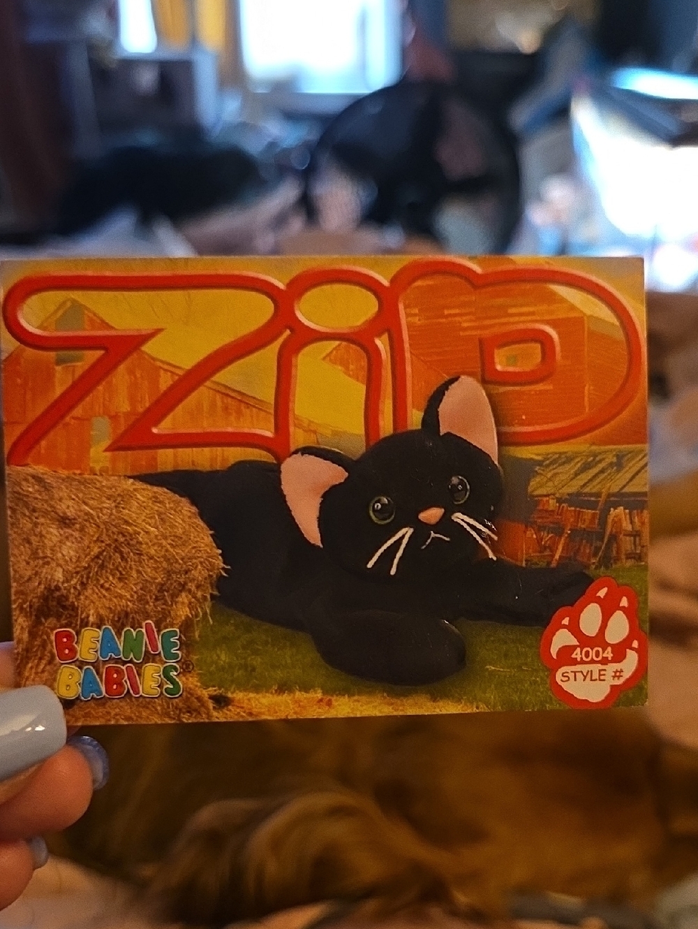 Ty Zip Beanie Babies Collectible Trading Card